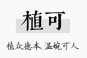 植可名字的寓意及含义