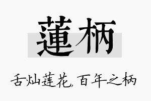 莲柄名字的寓意及含义