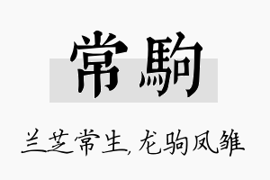 常驹名字的寓意及含义