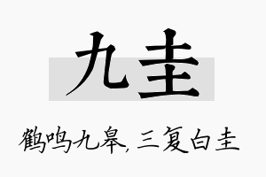 九圭名字的寓意及含义