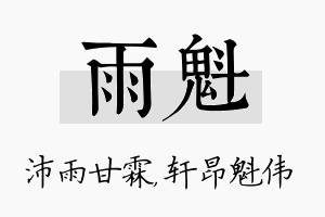 雨魁名字的寓意及含义