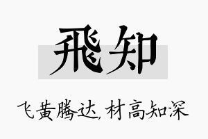 飞知名字的寓意及含义