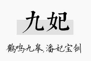 九妃名字的寓意及含义