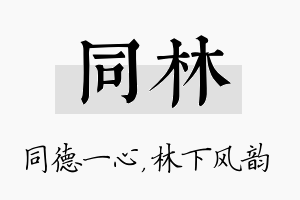 同林名字的寓意及含义