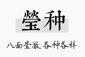 莹种名字的寓意及含义