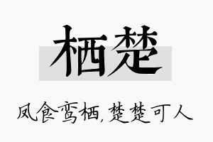 栖楚名字的寓意及含义