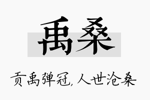 禹桑名字的寓意及含义