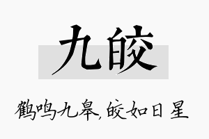 九皎名字的寓意及含义