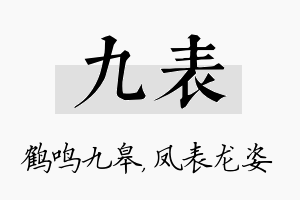 九表名字的寓意及含义