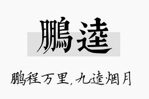 鹏逵名字的寓意及含义