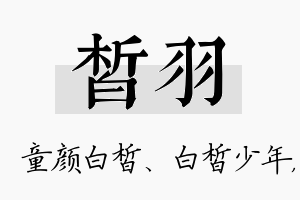 皙羽名字的寓意及含义