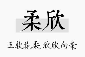 柔欣名字的寓意及含义