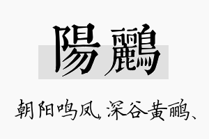 阳鹂名字的寓意及含义