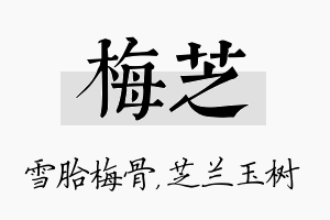 梅芝名字的寓意及含义