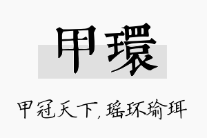 甲环名字的寓意及含义