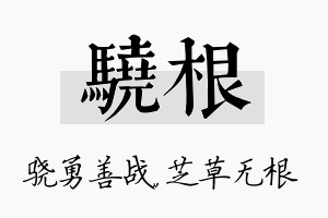 骁根名字的寓意及含义