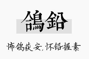 鸽铅名字的寓意及含义