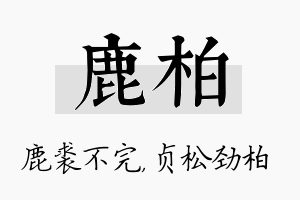 鹿柏名字的寓意及含义