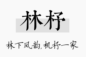 林杼名字的寓意及含义