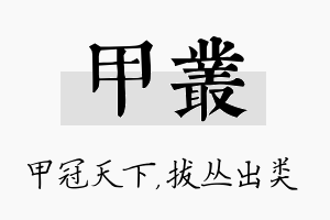 甲丛名字的寓意及含义