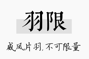 羽限名字的寓意及含义