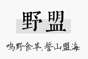 野盟名字的寓意及含义