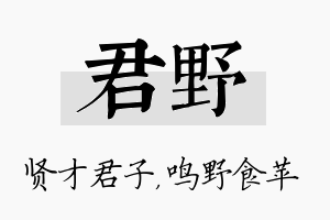 君野名字的寓意及含义