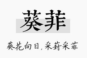 葵菲名字的寓意及含义