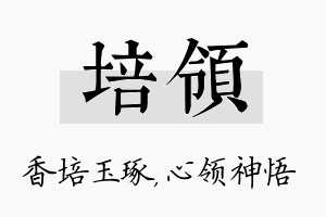 培领名字的寓意及含义