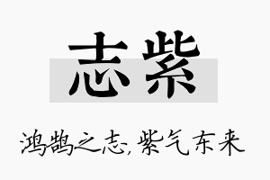 志紫名字的寓意及含义