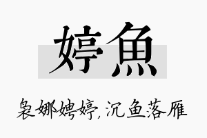 婷鱼名字的寓意及含义