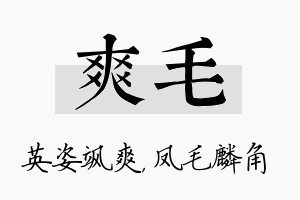 爽毛名字的寓意及含义