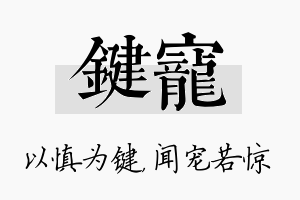 键宠名字的寓意及含义