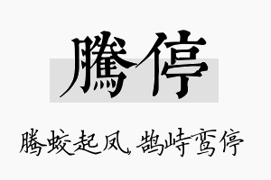 腾停名字的寓意及含义