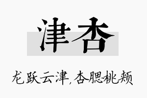 津杏名字的寓意及含义