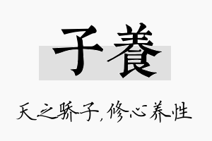 子养名字的寓意及含义