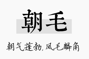 朝毛名字的寓意及含义