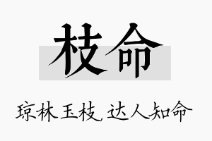 枝命名字的寓意及含义