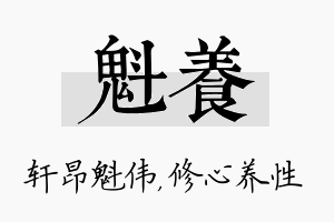 魁养名字的寓意及含义