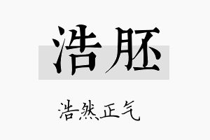 浩胚名字的寓意及含义