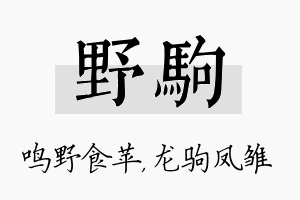 野驹名字的寓意及含义