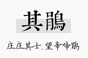 其鹃名字的寓意及含义