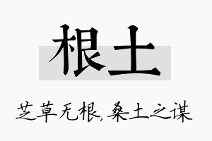 根土名字的寓意及含义