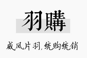 羽购名字的寓意及含义