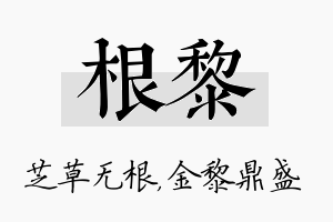 根黎名字的寓意及含义