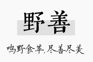 野善名字的寓意及含义