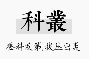 科丛名字的寓意及含义