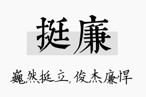 挺廉名字的寓意及含义