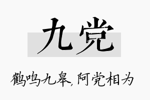 九党名字的寓意及含义