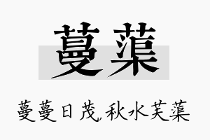 蔓蕖名字的寓意及含义